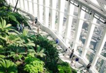 Sky Garden di Londra lo sky garden a londra